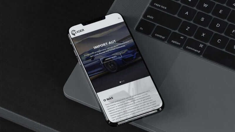 realizacja_liger-auto